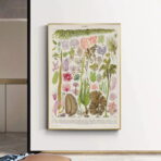affiche algue vintage