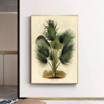 affiche botanique vintage palmier