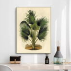 affiche botanique vintage palmier