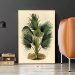 affiche botanique vintage palmier