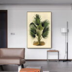 affiche botanique vintage palmier