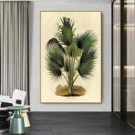 affiche botanique vintage palmier