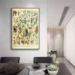 affiche botanique vintage
