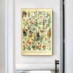 affiche botanique vintage