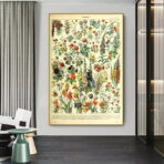 affiche botanique vintage