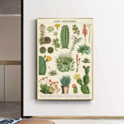 affiche cactus vintage