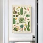 affiche cactus vintage