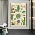 affiche cactus vintage