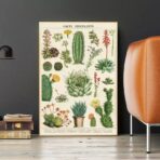 affiche cactus vintage