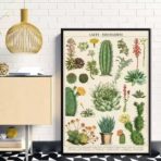 affiche cactus vintage