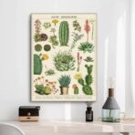affiche cactus vintage