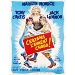 affiche certains l'aiment chaud