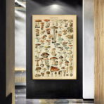 affiche champignon vintage