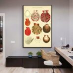 affiche coquillage vintage