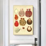 affiche coquillage vintage