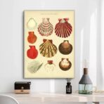 affiche coquillage vintage