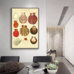 affiche coquillage vintage