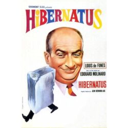 affiche film Hibernatus