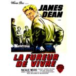 affiche film la fureur de vivre