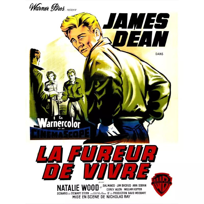 affiche-film-la-fureur-de-vivre_1 affiche film la fureur de vivre