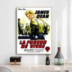 affiche film la fureur de vivre