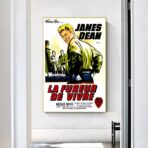 affiche film la fureur de vivre