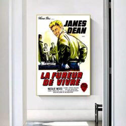 affiche film la fureur de vivre