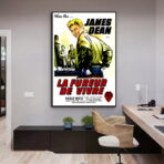 affiche film la fureur de vivre