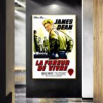 affiche film la fureur de vivre