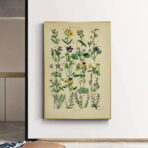 affiche herbier vintage