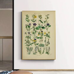 affiche herbier vintage