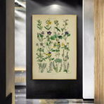 affiche herbier vintage