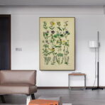affiche herbier vintage