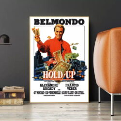affiche hold up