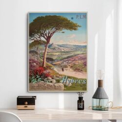 affiche hyères