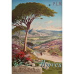 affiche hyères