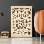 affiche insecte vintage