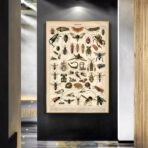 affiche insecte vintage