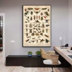 affiche insecte vintage
