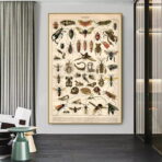 affiche insecte vintage