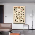 affiche insecte vintage