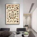 affiche insecte vintage