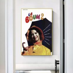 affiche la boum 2