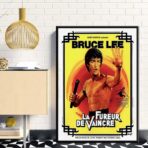affiche la fureur de vaincre