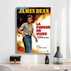 affiche la fureur de vivre