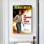 affiche la fureur de vivre