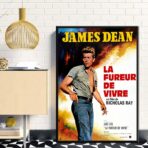 affiche la fureur de vivre