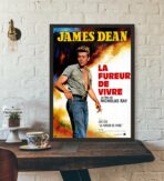 affiche la fureur de vivre