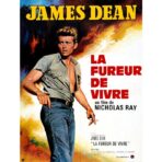 affiche la fureur de vivre