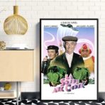 affiche la soupe aux choux